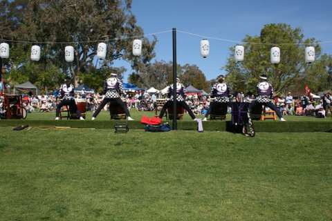 Sakura Matsuri  - Cherry Blossom Festival - In Doubt Due To Covid-19 - New South Wales Tourism  0