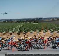Santos Tour Down Under - New South Wales Tourism 