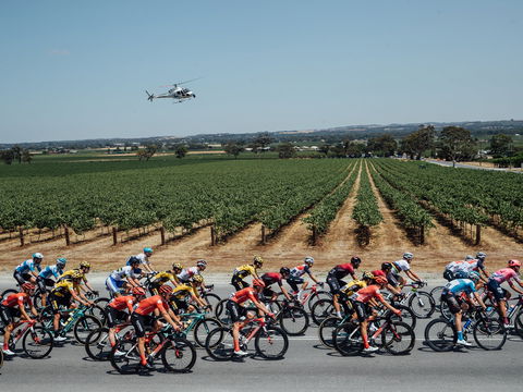 Santos Tour Down Under - New South Wales Tourism  0