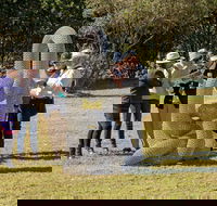 Sculpture for Clyde - Outdoor Exhibition - New South Wales Tourism 