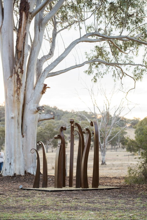 Sculptures In The Garden - New South Wales Tourism  0