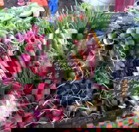 South Geelong Farmers Market - New South Wales Tourism 