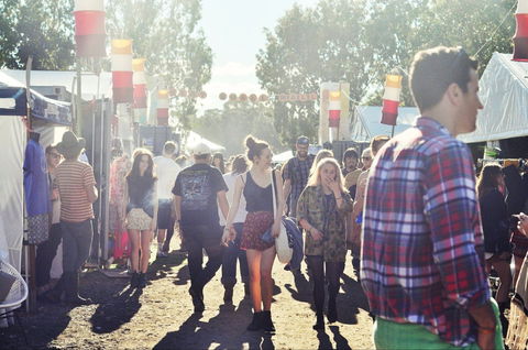 Splendour In The Grass - New South Wales Tourism  1