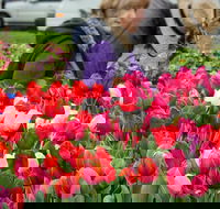 Spring Fling - New South Wales Tourism 