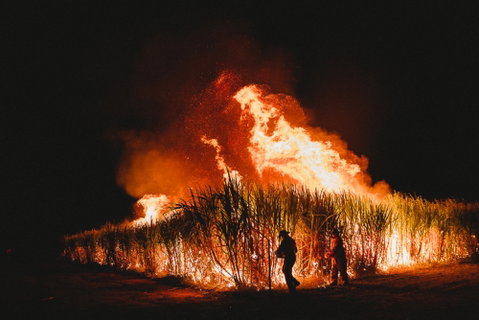 Sweet Days, Hot Nights Festival - New South Wales Tourism  1