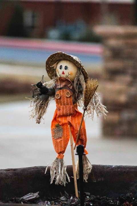 Tamborine Mountain Scarecrow Festival - New South Wales Tourism  0
