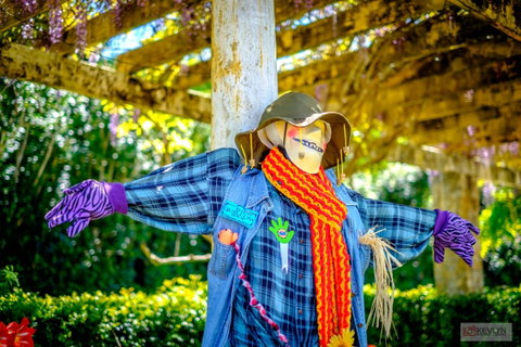 Tamborine Mountain Scarecrow Festival - New South Wales Tourism  1
