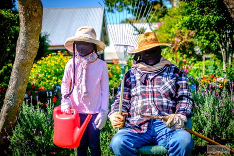 Tamborine Mountain Scarecrow Festival - New South Wales Tourism  2
