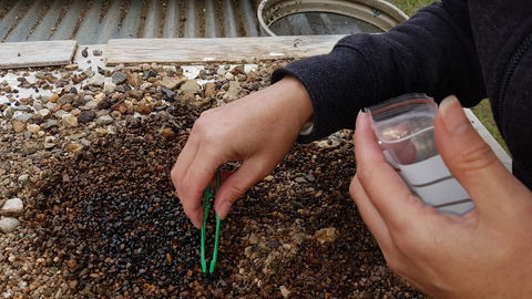 The Minerama Fossicking, Gem And Jewellery Show - New South Wales Tourism  1