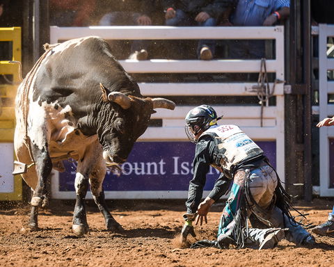 The 2020 Virtual Mount Isa Mines Rodeo - New South Wales Tourism  2