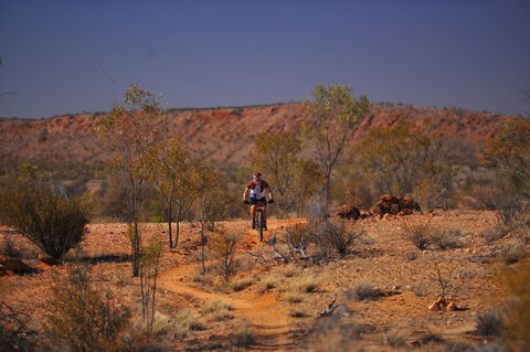 The Redback - New South Wales Tourism  2