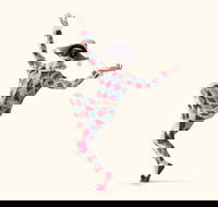 The Australian Ballet presents Harlequinade - New South Wales Tourism 