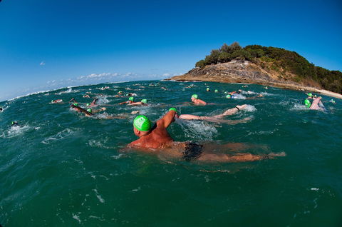 The Straddie Salute Triathlon Festival - New South Wales Tourism  1