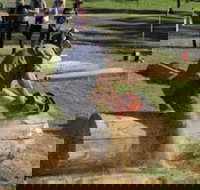 Tocal Field Days - New South Wales Tourism 