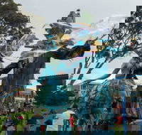 Tulip Festival Wynyard - New South Wales Tourism 