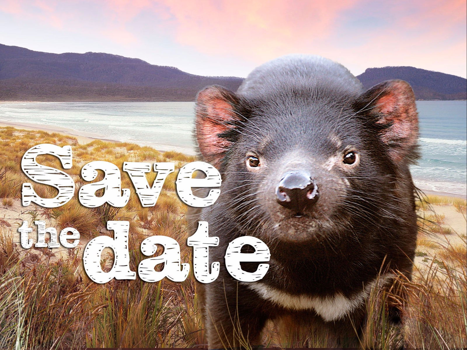Baden TAS New South Wales Tourism 