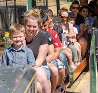 Willans Hill Miniature Railway Rides Open Days - New South Wales Tourism 