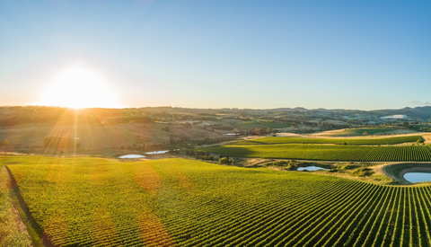 Wine And Food At Altitude - New South Wales Tourism  0
