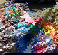 Wynyard Foreshore Market - New South Wales Tourism 