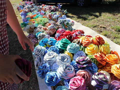 Wynyard Foreshore Market - New South Wales Tourism  0