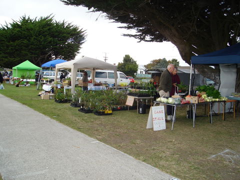 Wynyard Foreshore Market - New South Wales Tourism  1