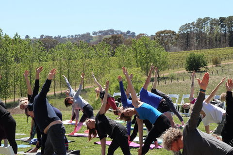 Yoga In The Vines - New South Wales Tourism  0