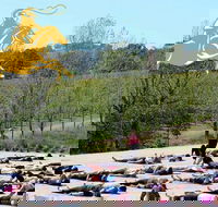 Yoga in the Vines - New South Wales Tourism 