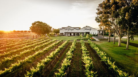 Aged Wine And Vintage Pies - New South Wales Tourism  2