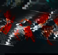 Bonfire Bush Poet and Barbecue under the Stars - New South Wales Tourism 