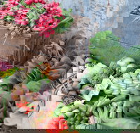 Ma Ma Creek Markets - New South Wales Tourism 