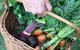 Orange Farmers Market - thumb 0