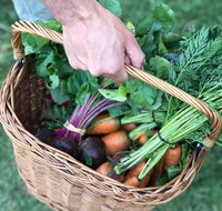 Orange Farmers Market - New South Wales Tourism 