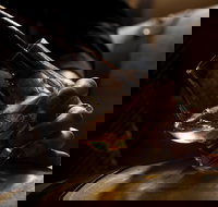 Tasmanian Whisky Week - New South Wales Tourism 