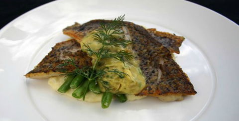 Aquarius Seafood Restaurant - New South Wales Tourism  2