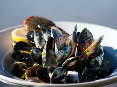 Fratelli Del Mare - New South Wales Tourism  4