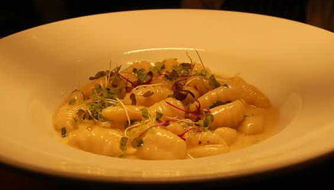 Aquacotta Italian Restaurant - New South Wales Tourism  1