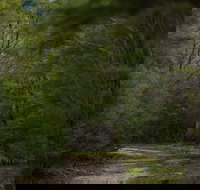 Yering Gorge Cottages - New South Wales Tourism 