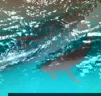 Ningaloo Lodge Exmouth