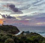 Whale Watch Ocean Beach Resort - New South Wales Tourism 