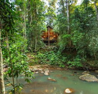 The Canopy Rainforest Treehouses and Wildlife Sanctuary - New South Wales Tourism 