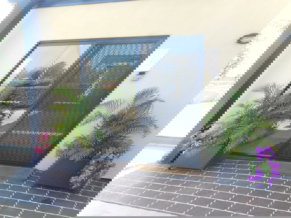 Upper Dawson QLD New South Wales Tourism