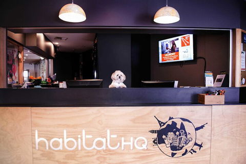 Habitat HQ - Hostel - New South Wales Tourism  3