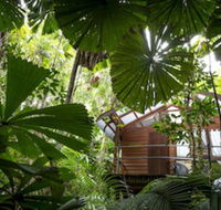 Daintree Wilderness Lodge - New South Wales Tourism 