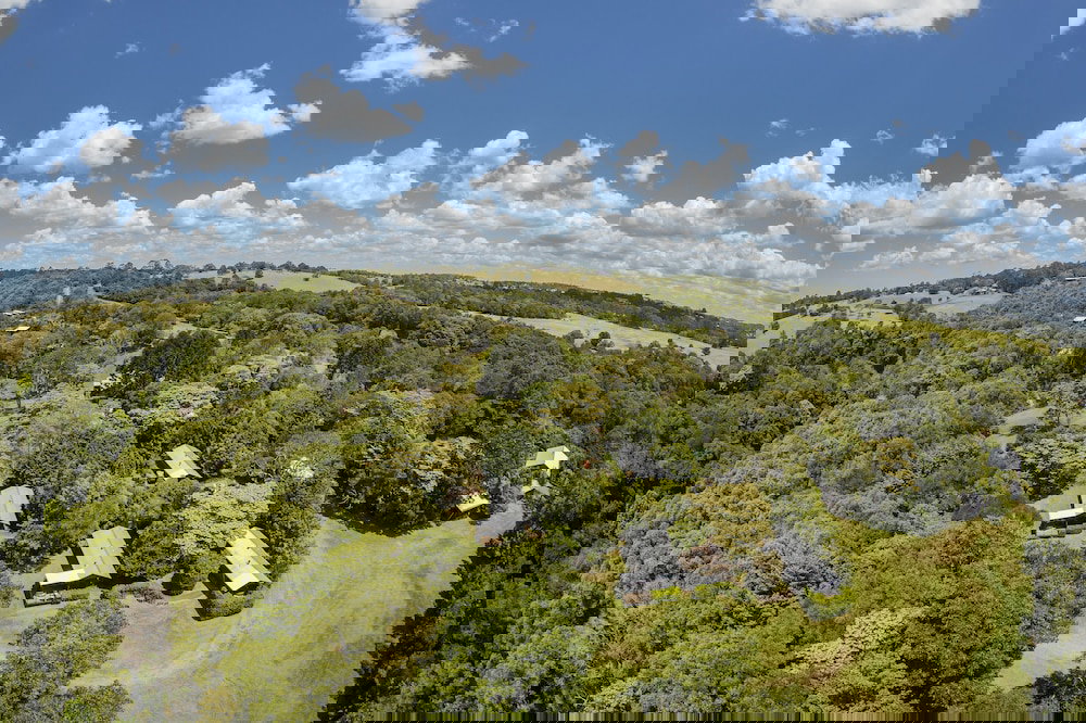 Harper Creek QLD New South Wales Tourism 