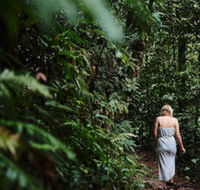 Daintree Ecolodge - New South Wales Tourism 