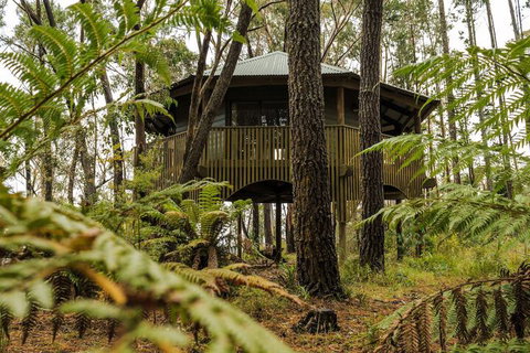 Federation Gardens & Possums Hideaway - New South Wales Tourism  3