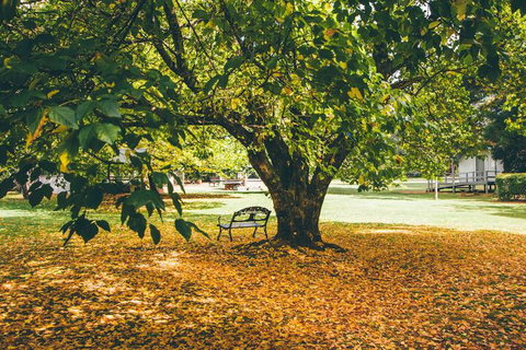 Federation Gardens & Possums Hideaway - New South Wales Tourism  6