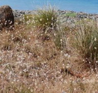 Schouten House - New South Wales Tourism 