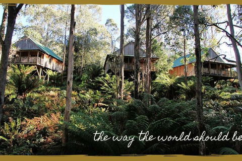 Lemonthyme Wilderness Retreat - New South Wales Tourism  5