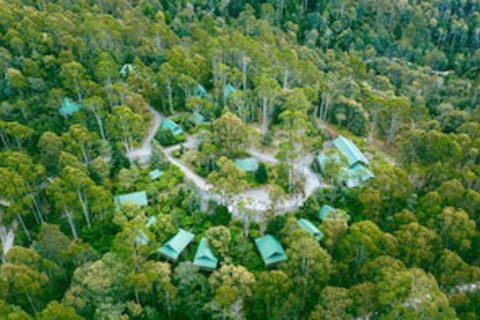 Lemonthyme Wilderness Retreat - New South Wales Tourism  0